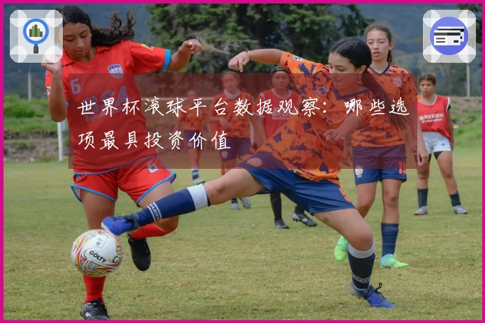 世界杯滚球平台数据观察：哪些选项最具投资价值