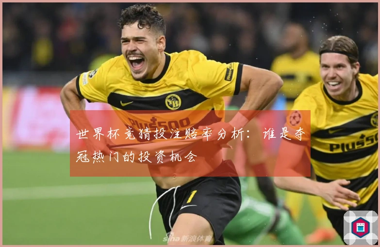 世界杯竞猜投注赔率分析：谁是夺冠热门的投资机会