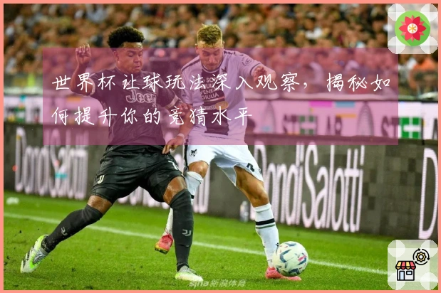 世界杯让球玩法深入观察，揭秘如何提升你的竞猜水平