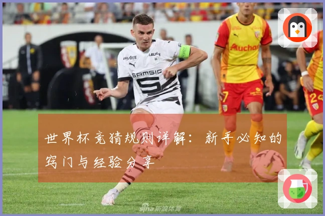 世界杯竞猜规则详解：新手必知的窍门与经验分享