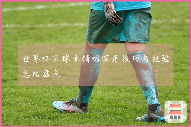 世界杯买球竞猜的实用技巧与经验总结盘点