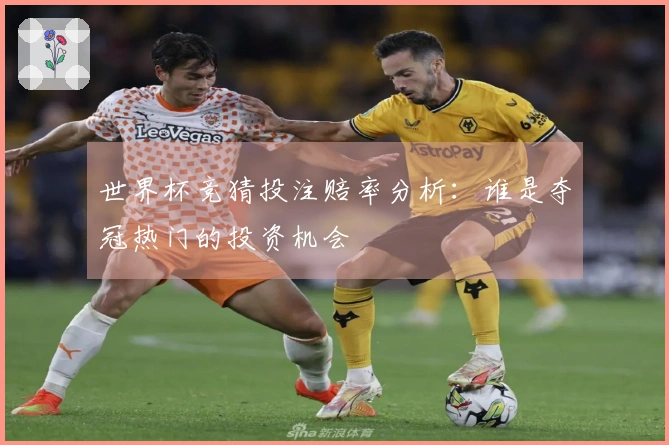 世界杯竞猜投注赔率分析：谁是夺冠热门的投资机会